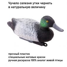 Чучело утки чернеть селезень DUCK MAGNIT